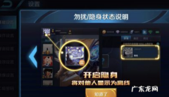 王者荣耀隐身打游戏能组队,王者荣耀隐身打游戏别人能看到战绩