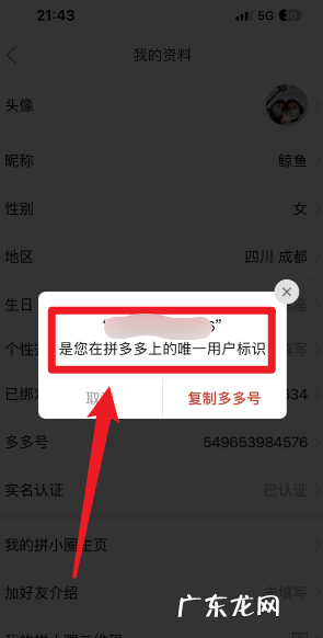 拼多多我的账户在哪里,拼多多店铺账号在哪里查看