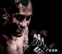 ufc是什么意思,ufc是什么
