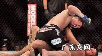 ufc是什么意思,ufc是什么