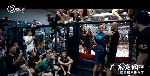 ufc是什么意思,ufc是什么