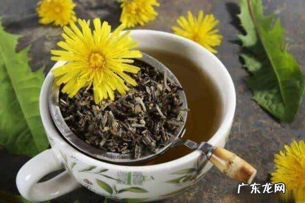 蒲公英能生吃,新鲜蒲公英怎么吃最好