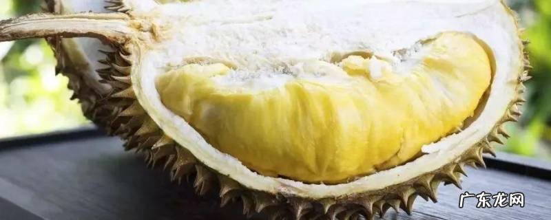 榴莲炖汤怎么炖 榴莲炖汤怎么炖不放肉