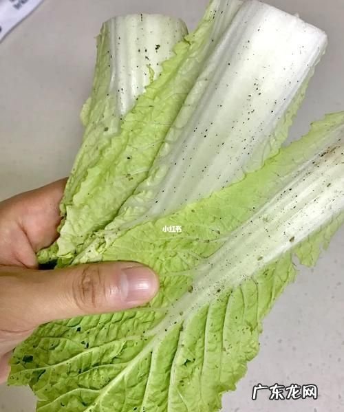 白菜隔多久不能吃,大白菜烧熟以后多少时间不能再吃了