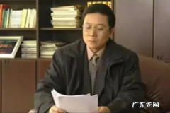 罗成市长是哪部电视剧,罗成市长是什么电视剧