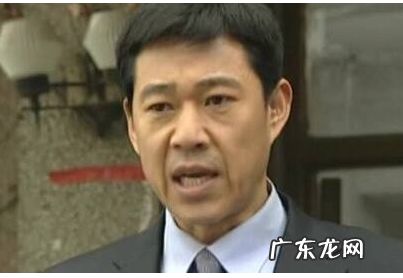 罗成市长是哪部电视剧,罗成市长是什么电视剧