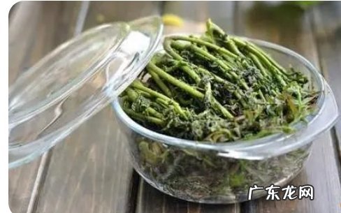 香椿怎么样存的,香椿怎么保存到冬天吃