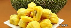 菠萝蜜五月份有吗 菠萝蜜5月份有吗
