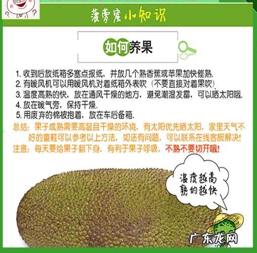 菠萝蜜的保存方法及保存时间,菠萝蜜怎么保存时间最长