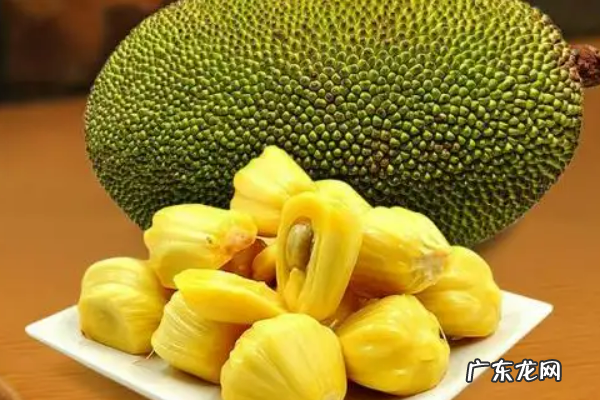 菠萝蜜的保存方法及保存时间,菠萝蜜怎么保存时间最长