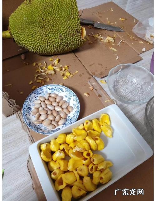 菠萝蜜的保存方法及保存时间,菠萝蜜怎么保存时间最长
