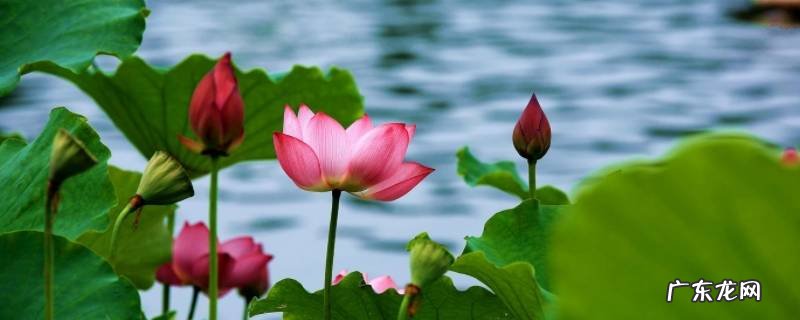 夏天的颜色有哪些颜色,清爽 夏天的颜色有哪些