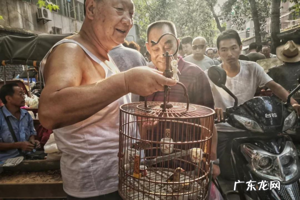 为什么姓氏第一个是赵,赵姓为什么排第一位