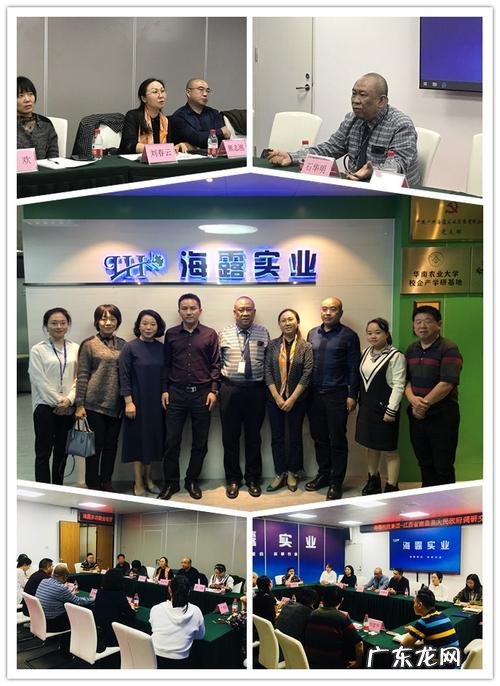 海露的优势,经常眼干眼累的人群有哪些