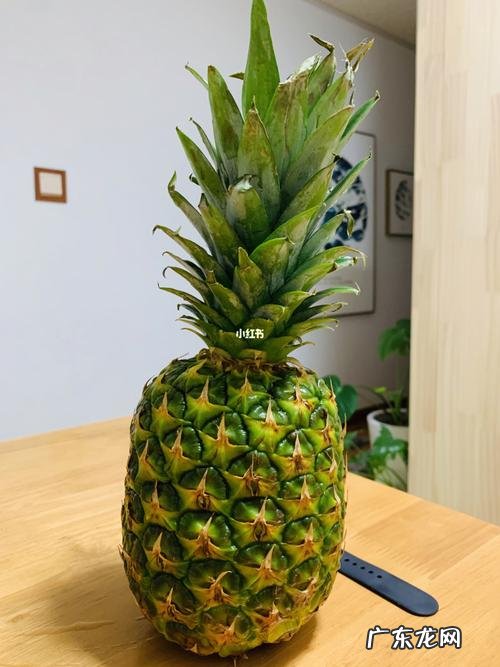 菠萝绿色的时候可以吃,绿菠萝能吃