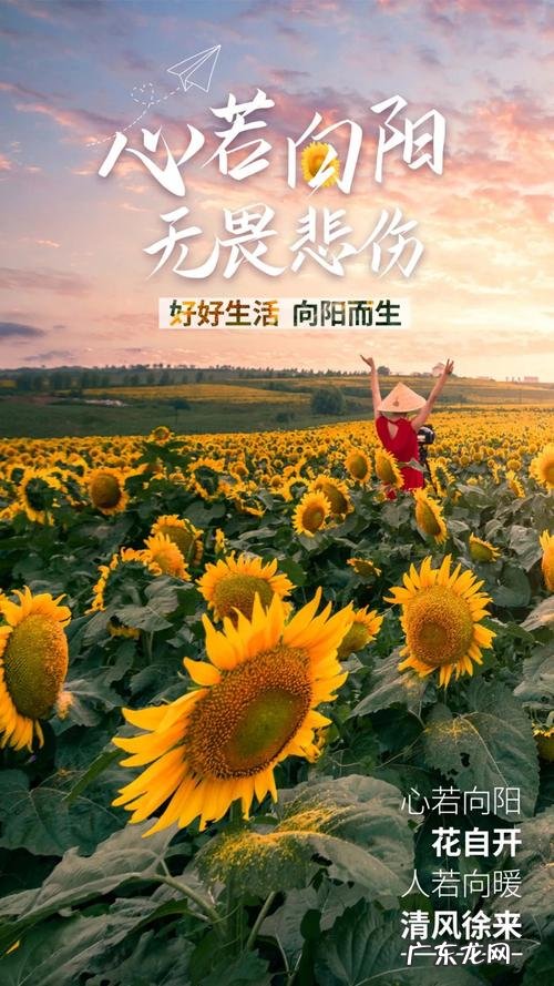 阳光明媚的心情说说,周末阳光明媚心情好的说说