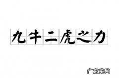 九牛二虎打一生肖,九牛二虎出大力的属相是什么