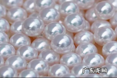 澳白珍珠是什么意思,珍珠盛产地是哪里