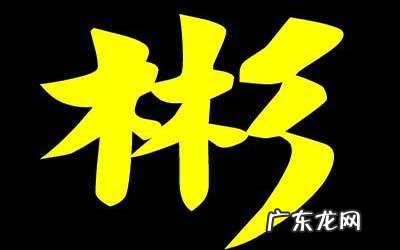 彬的意思及寓意,彬的意思和含义