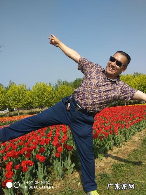 五十岁的雅称是什么,九十岁的雅称是什么