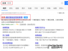 repost是什么意思微博,微博里repost是什么意思