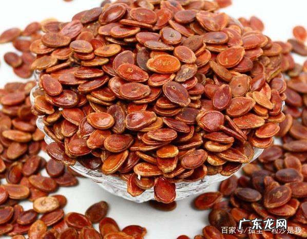 含山县美食排行榜,含山县美食推荐