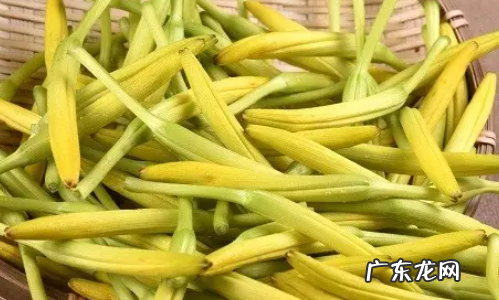 像菜花的菜是什么菜,花菜类蔬菜有哪些