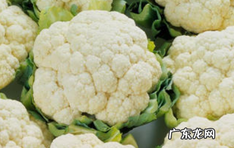 像菜花的菜是什么菜,花菜类蔬菜有哪些