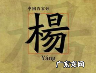 独特微信带杨字微信网名,姓杨的微信昵称 中文名