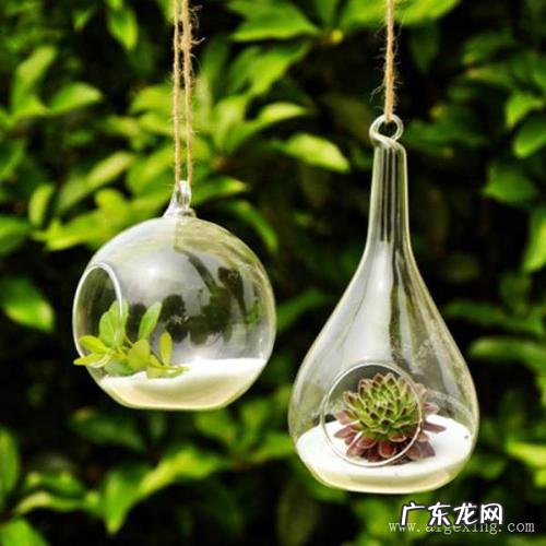 独特微信带杨字微信网名,姓杨的微信昵称 中文名