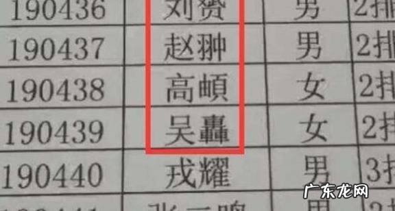 泽林这个名字的寓意,文姓宝宝取名比较有寓意