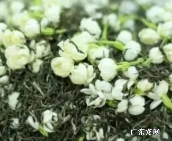 横县美食特产,广西有什么好吃的特产
