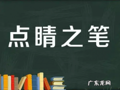 点睛之笔具体指什么,什么是点睛之笔