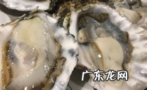 煮生蚝需要放什么材料,生蚝怎么煮好吃简单的做法