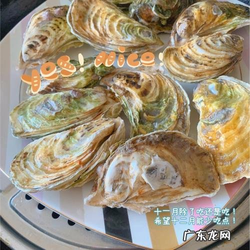 煮生蚝需要放什么材料,生蚝怎么煮好吃简单的做法
