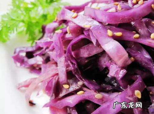 紫甘蓝是什么,紫甘蓝是什么东西