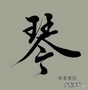 女孩带琴字的寓意,女人七大名琴的特点