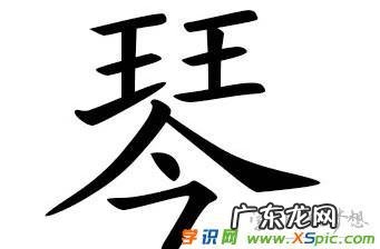 女孩带琴字的寓意,女人七大名琴的特点