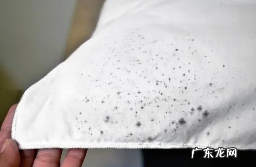 如何去除衣服霉斑,应该怎么去除衣服上的霉点