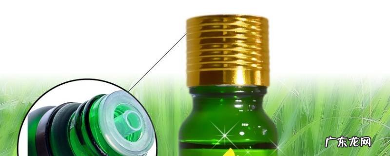 驱蚊精油有哪些精油 多特瑞驱蚊精油有哪些精油