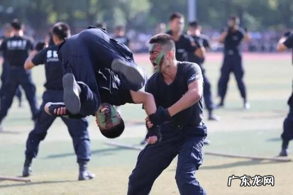 什么是警务战术,战术技能中警务实战三大核心是什么意思