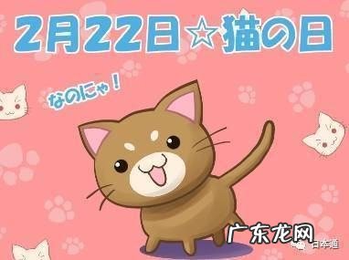 国际猫咪节是几月几日,8月节日一览表