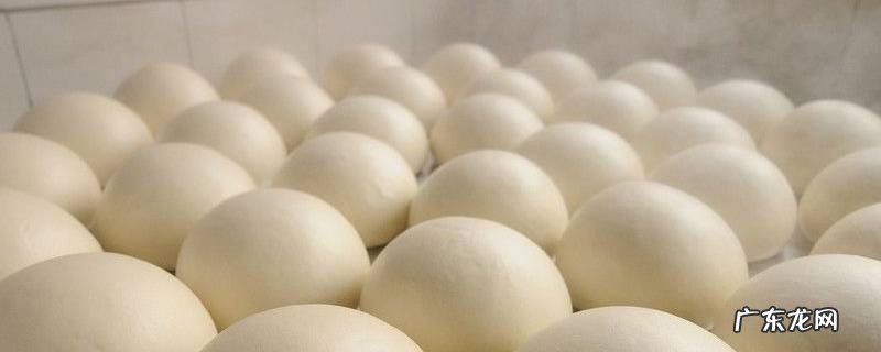 馒头放冷冻可以保存多久 馒头放冷冻能保存多久