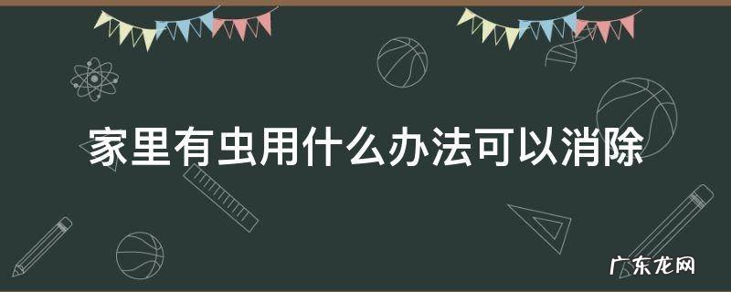 家里有虫用什么办法可以消除 屋里有虫有什么办法可以消除