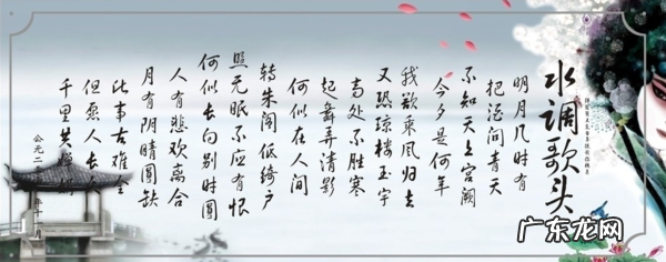 《水调歌头》全诗诗句,水调歌头的全诗词