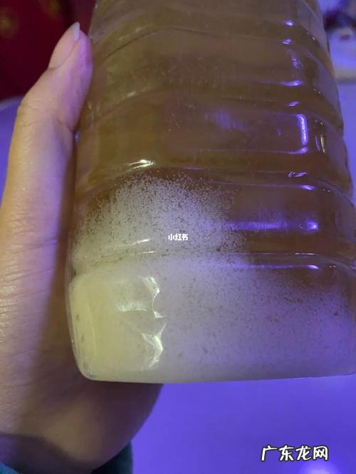 蜂蜜储存需要放冰箱,蜂蜜可以放冰箱里_蜂蜜放冰箱好不好