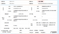 出票结果待确认是什么意思,网上订票显示支付成功待出票是什么意思