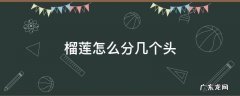 榴莲分几个头啥意思 榴莲怎么分几个头