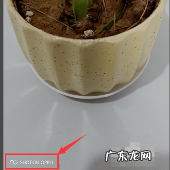 手机照片如何有水印,手机怎么加水印