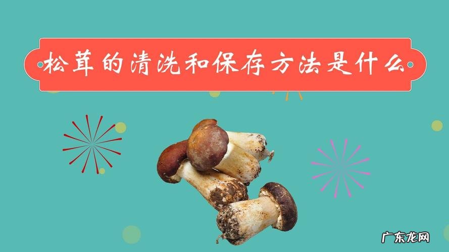 姬松茸怎么洗干净,姬松茸长白毛还能吃